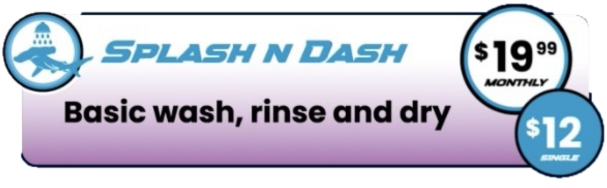 Splash N Dash - $19.99 Monthly, $12 Single - Basic wash, rinse and dry
